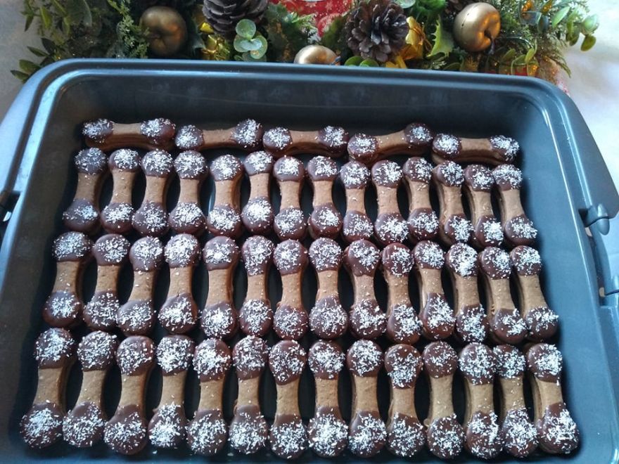 Bezlepkové kočičí jazýčky