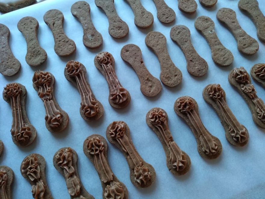 Bezlepkové kočičí jazýčky