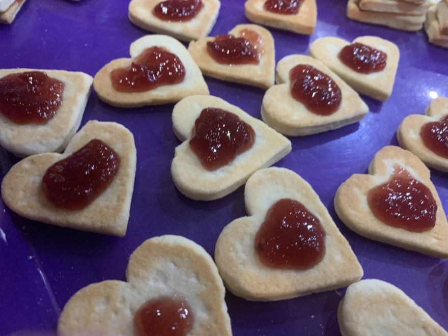 Linnaeus yogurt cookies