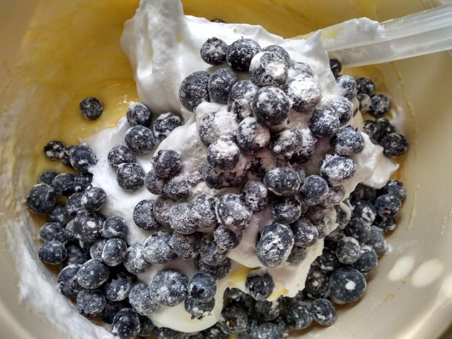 Glutenfreier Blaubeerkuchen, gebacken in Form eines Bischofssandwichs