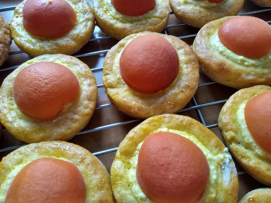 Sourdough gluten-free cheesecakes with apricots