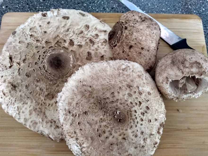 Glutenfreier Salzkuchen mit Bedels