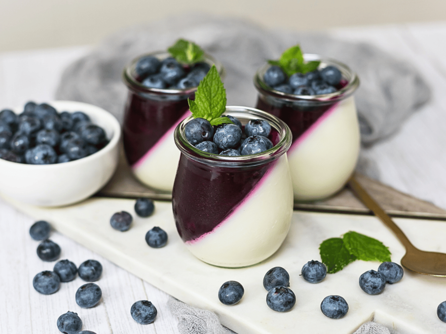 Čučoriedková panna cotta