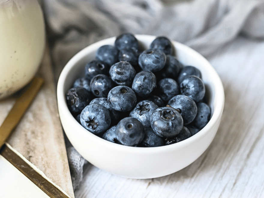 Čučoriedková panna cotta