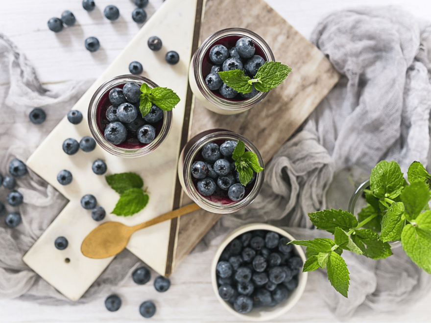 Čučoriedková panna cotta
