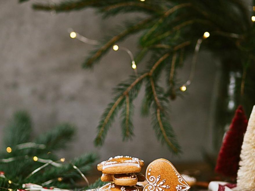 Gluten-free Christmas gingerbread Liana - immediately soft