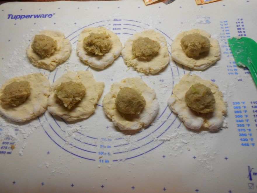 Bezlepkové kapustníky